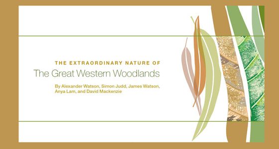 Showcasing the values of the Great Western Woodlands