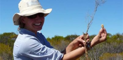 Exploring the interaction between SW Australia’s earliest human inhabitants and its flora.