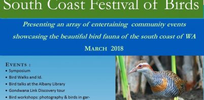 South Coast Festival of Birds
