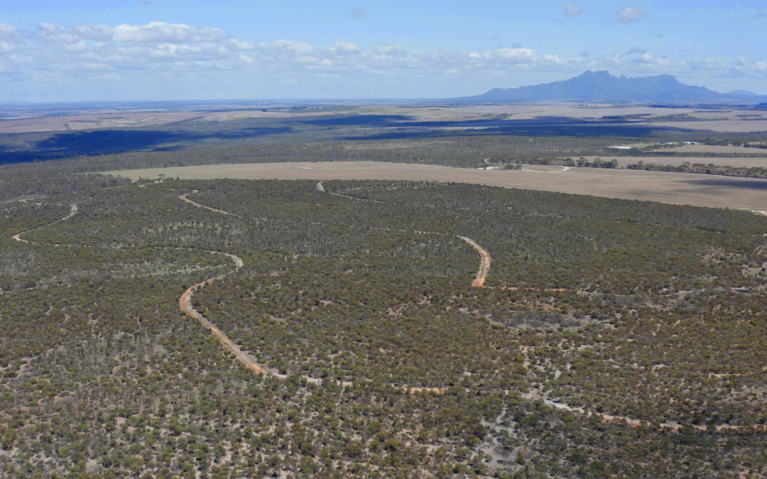 CSIRO studying effective governance principles & processes in the Gondwana Link