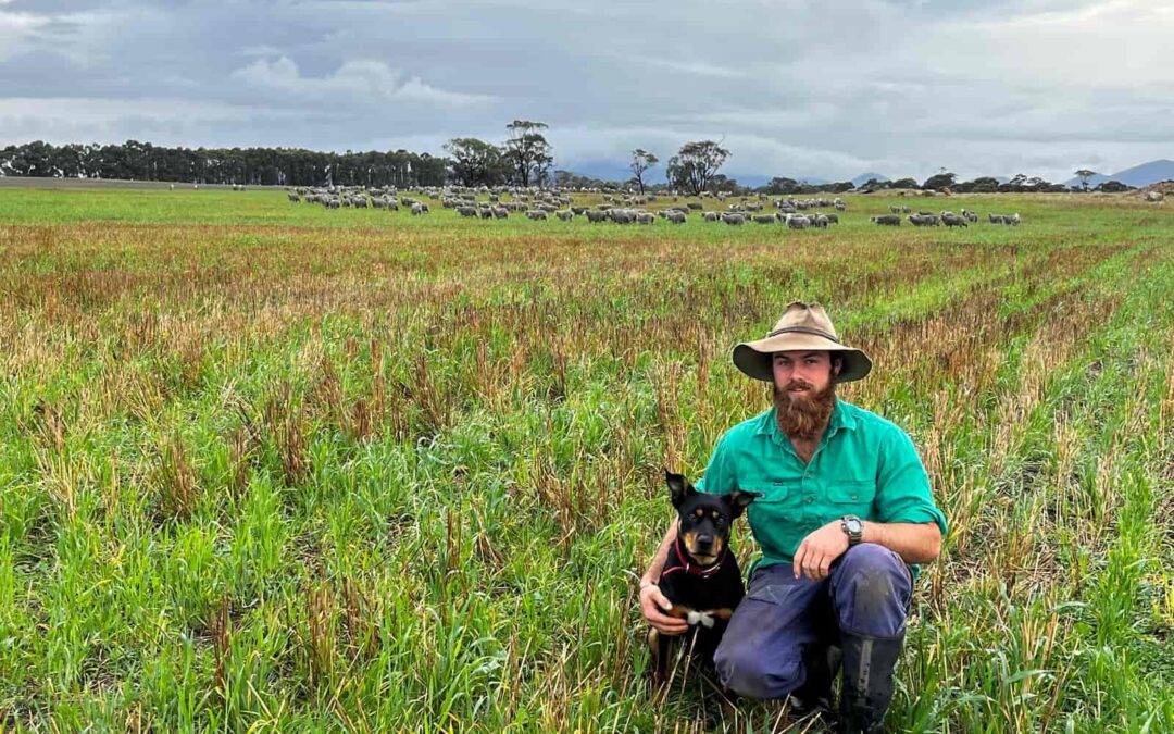 A young farmer’s fresh outlook on the land