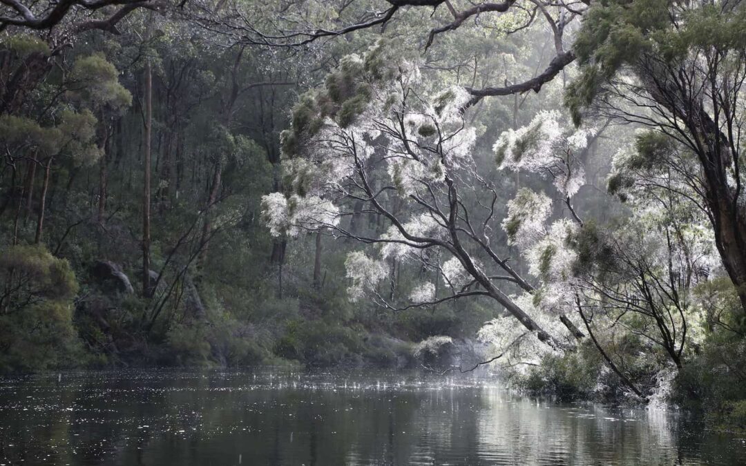 On the Deep River