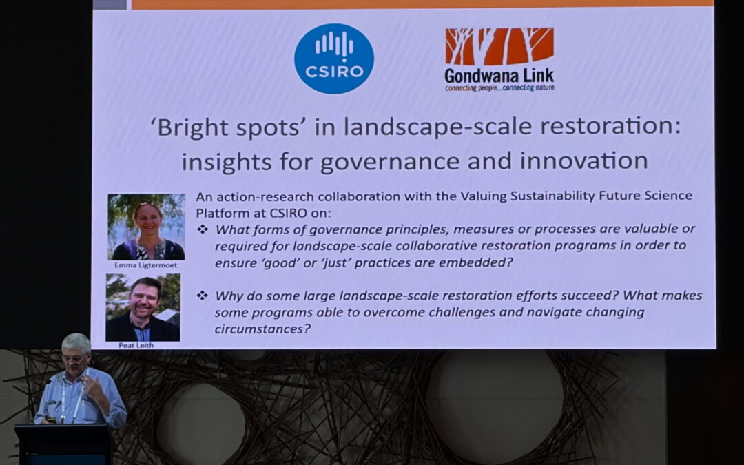 Key thoughts on collaboration