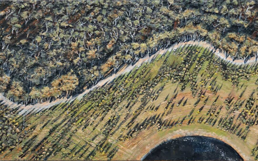 1000 Kilometres of Hope: Listening, Painting and Recording Across the Gondwana Link