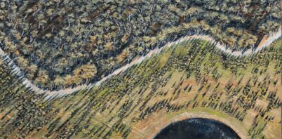 1000 Kilometres of Hope: Listening, Painting and Recording Across the Gondwana Link