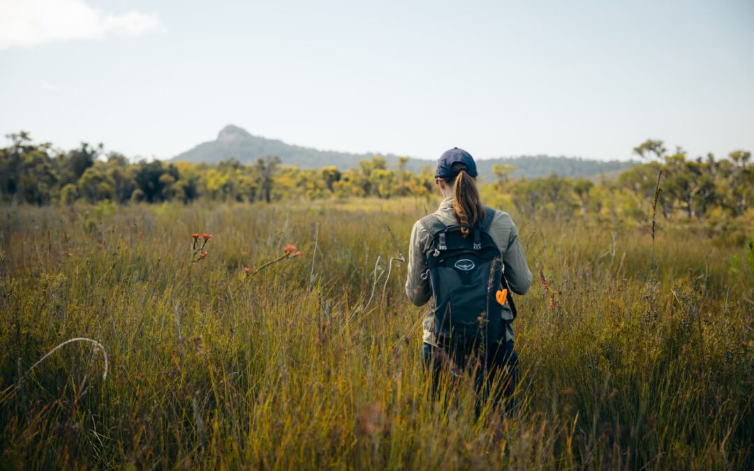 Peatland protection the focus of major collaborative effort