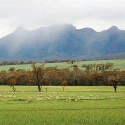 Cropping and grazing lands adjacent to the Stirling Range.
