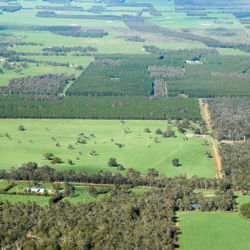 The central zone of Gondwana Link is a patchwork of cropping and grazing lands, eucalypt plantations, conservation estate and more.