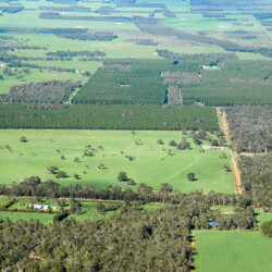 The central zone of Gondwana Link is a patchwork of cropping and grazing lands, eucalypt plantations, conservation estate and more.
