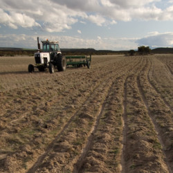 Large scale restoration begins. Photo Mark Godfrey/TNC