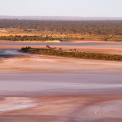 Salt Lakes cover a significant area of the Great Western Woodlands. Photo Barbara Madden
