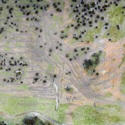 The yonga at the Peniup property. Photo Peter Banyard