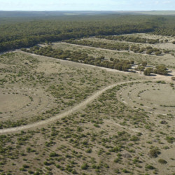 Drone image shows the six season cultural planting designed by Eugene Eades and Threshold Environmental.