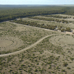 Drone image shows the six season cultural planting designed by Eugene Eades and Threshold Environmental.