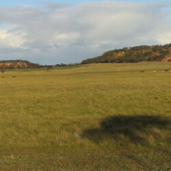 Soon after purchase - 350 ha of cleared land difficult soils and low agricultural productivity.