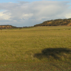 Soon after purchase - 350 ha of cleared land difficult soils and low agricultural productivity.