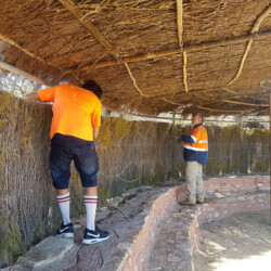 Using the replanted broombush to line the Meeting Place walls and sun shelter.