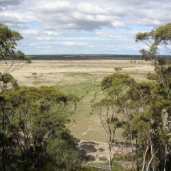 2006 photo of planting undertaken in 2005.