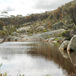 On of the many creeks and rivers that dissect the Central Zone of Gondwana Link.